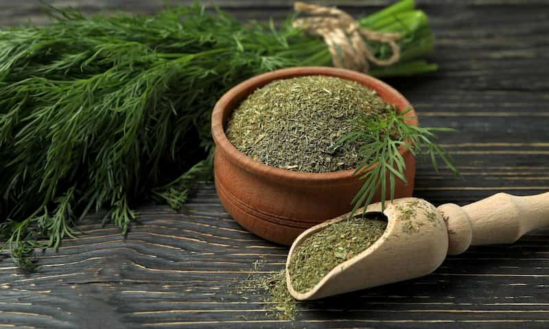 شوید خشک اعلا تهیه شده از بهترین سبزی تازه